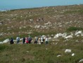 /album/galeria-de-fotos/serra-do-montejunto-passeio-pedrestre-copia-jpg/